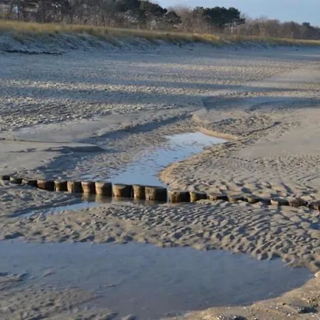 Seestern Apartment Zingst