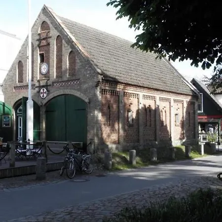 Seestern Zingst